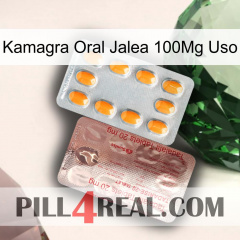 Kamagra Oral Jelly 100Mg Use new13